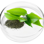 Green Tea Leaf