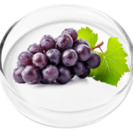Resveratrol